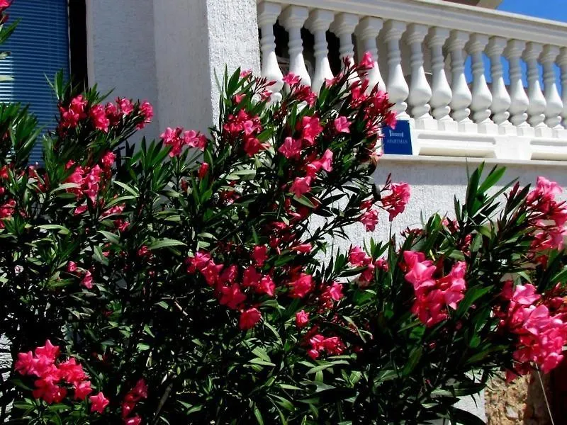 Apartments Katarina K Malinska Guest house